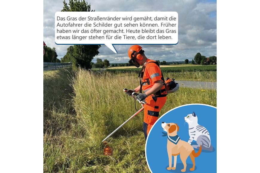 Standarddatei